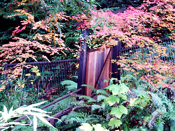 Custom, Landscape, Construction, Gardens, Renovation, Quality, Craftsmanship, Northern, California, Coastal, High End, Akita Landscape, Inc.